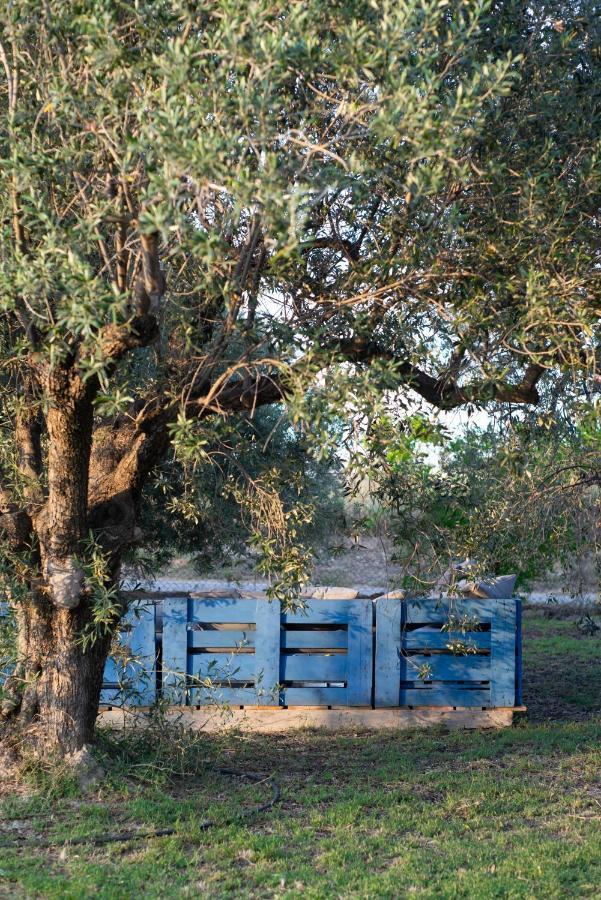 Casa De Campo Mediterranea En Alicante Agost Ngoại thất bức ảnh