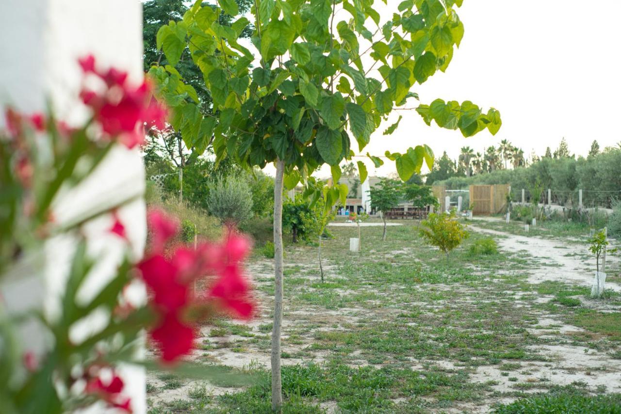Casa De Campo Mediterranea En Alicante Agost Ngoại thất bức ảnh